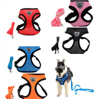 Stylish & Comfortable Multi-Color Christian Dog Harness - Perfect for Your Beloved Pet