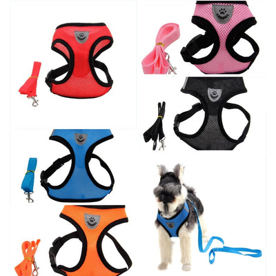 Stylish & Comfortable Multi-Color Christian Dog Harness - Perfect for Your Beloved Pet