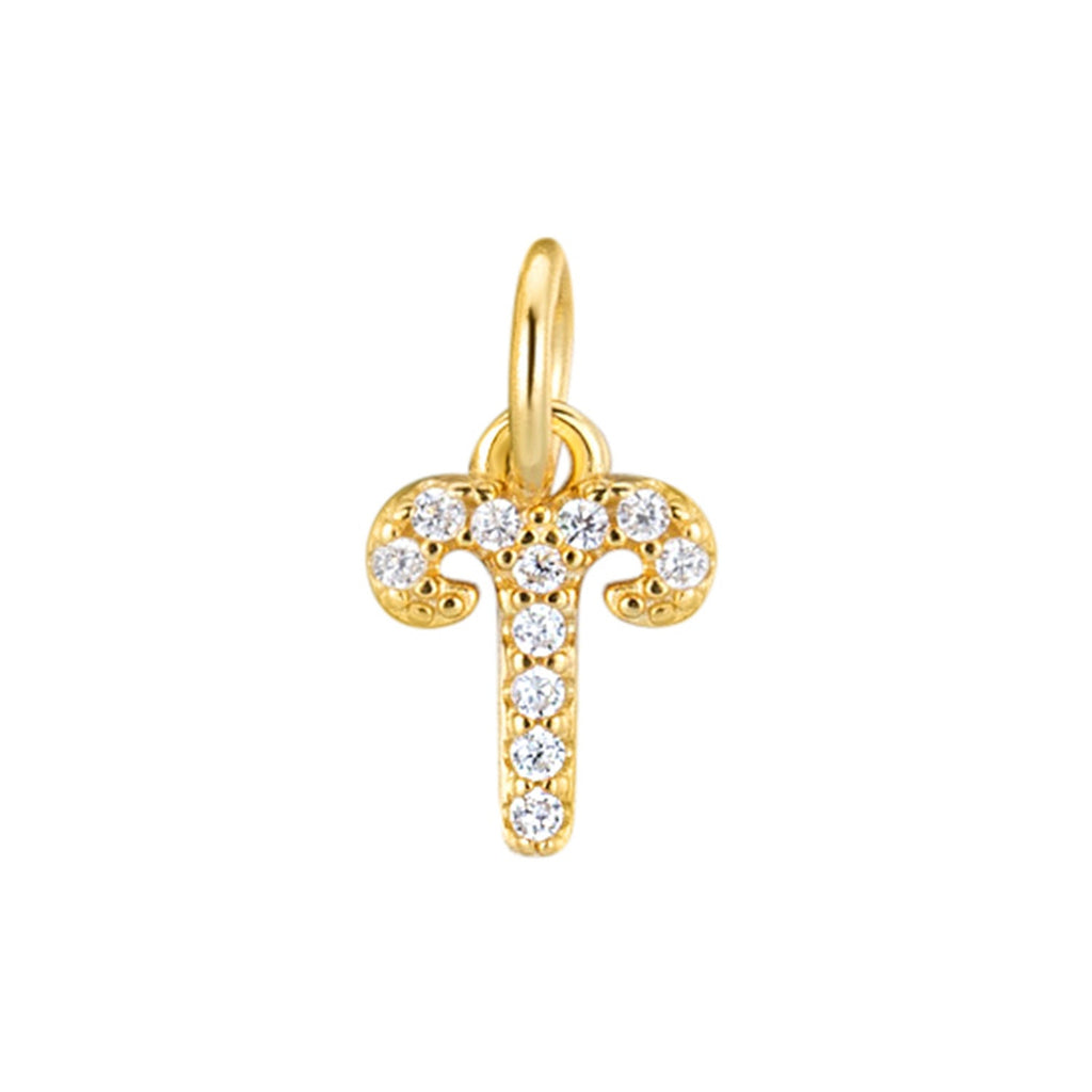 S925 Silver 12 Zodiac Sign Pendant What Else You Got?