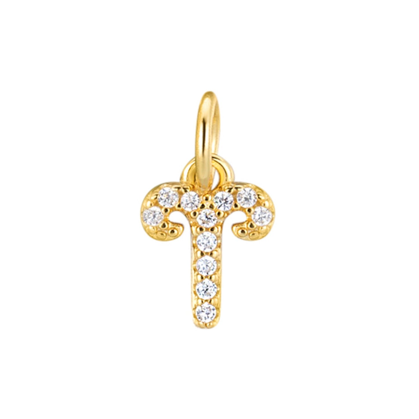 S925 Silver 12 Zodiac Sign Pendant What Else You Got?