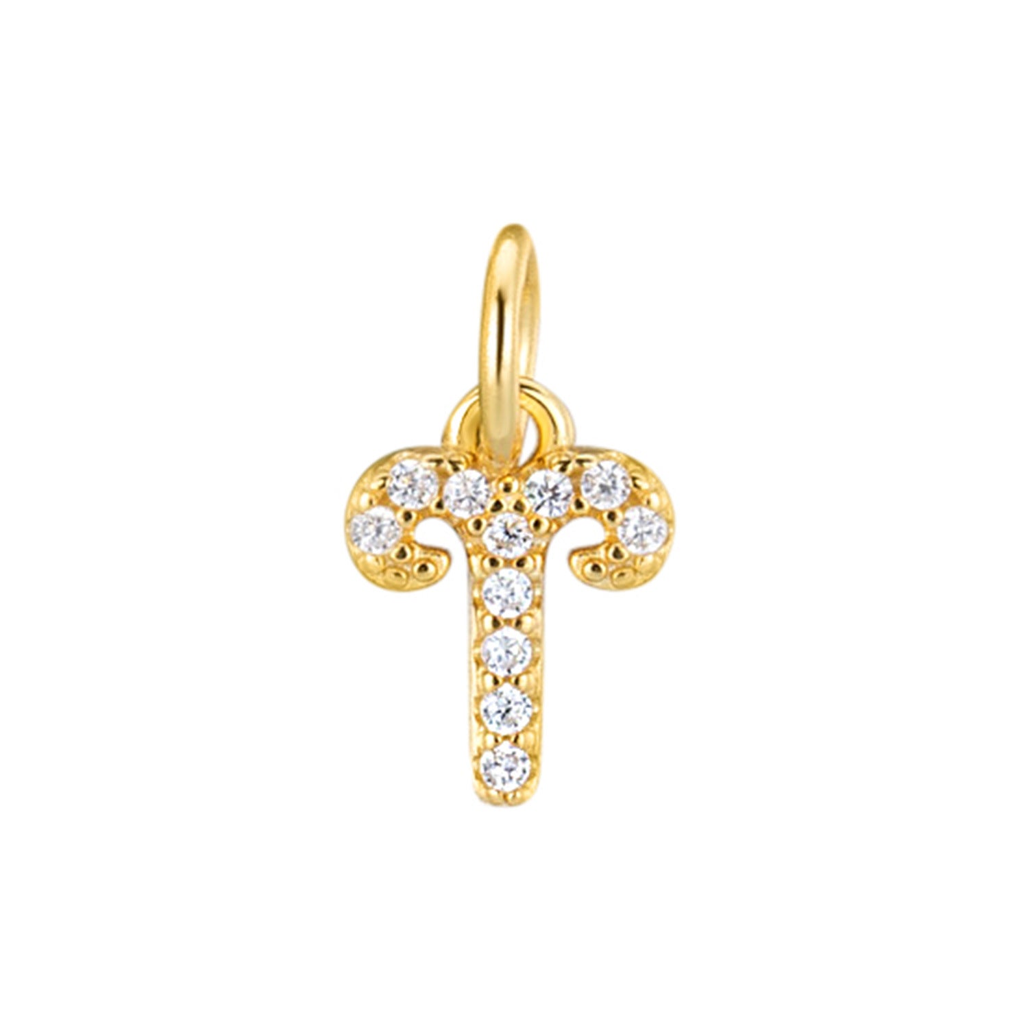 S925 Silver 12 Zodiac Sign Pendant What Else You Got?