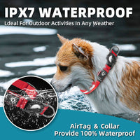Glow-in-the-Dark Waterproof Pet Collar - Safety & Style for Your Furry Friend
