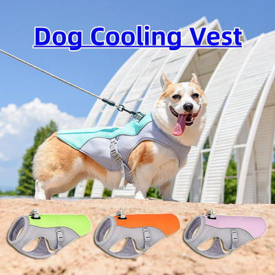 God's Cool Gift: UV-Protective Dog Cooling Vest for Summer Walks - Keeps Pets Safe & Comfortable