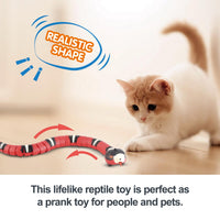 Divine Pet Play: Interactive Smart Snake Toy for Cats & Dogs – USB Rechargeable, Built-in Catnip, Lifelike Motion & Sound – Perfect for Pet Enrichment & Fun (Black)