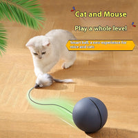 Automatic Cat Teasing Ball – Self-Rolling Interactive Toy for Cats & Dogs