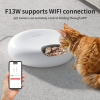 Blessed Paws WiFi 6 Automatic Pet Feeder - Smart Dry & Wet Food Dispenser with App Control & Ice Packs