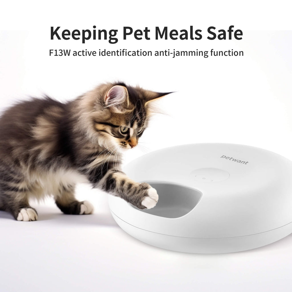Donut Frost WiFi 6 Meal Automatic Cat Food Dispenser With App Control, Dry & Wet Food Automatic Cat Feeder, Smart Dog Feeder With Two Ice Packs, Programmable Timer, Holds 6 X Of Food What Else You Got?