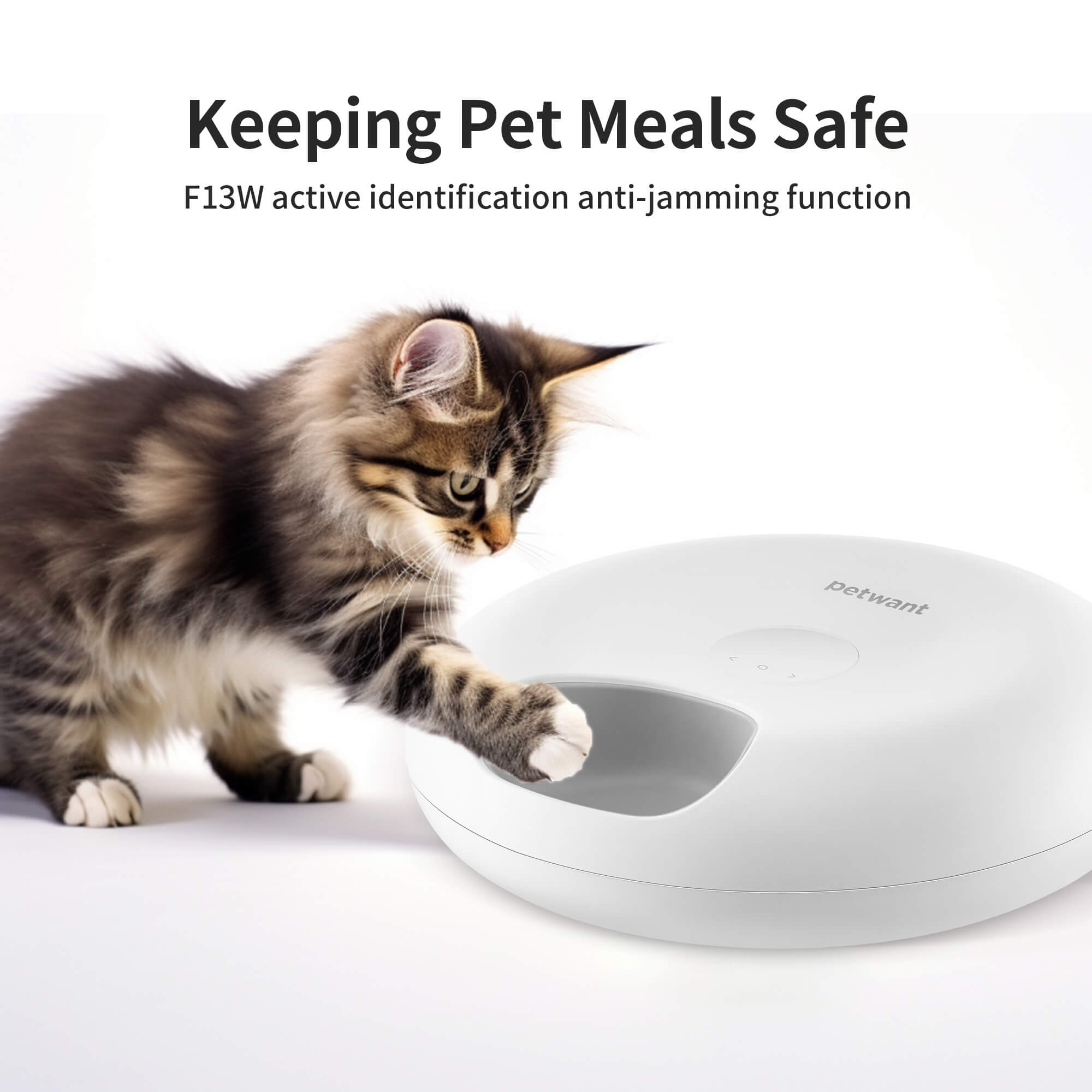 Donut Frost WiFi 6 Meal Automatic Cat Food Dispenser With App Control, Dry & Wet Food Automatic Cat Feeder, Smart Dog Feeder With Two Ice Packs, Programmable Timer, Holds 6 X Of Food What Else You Got?