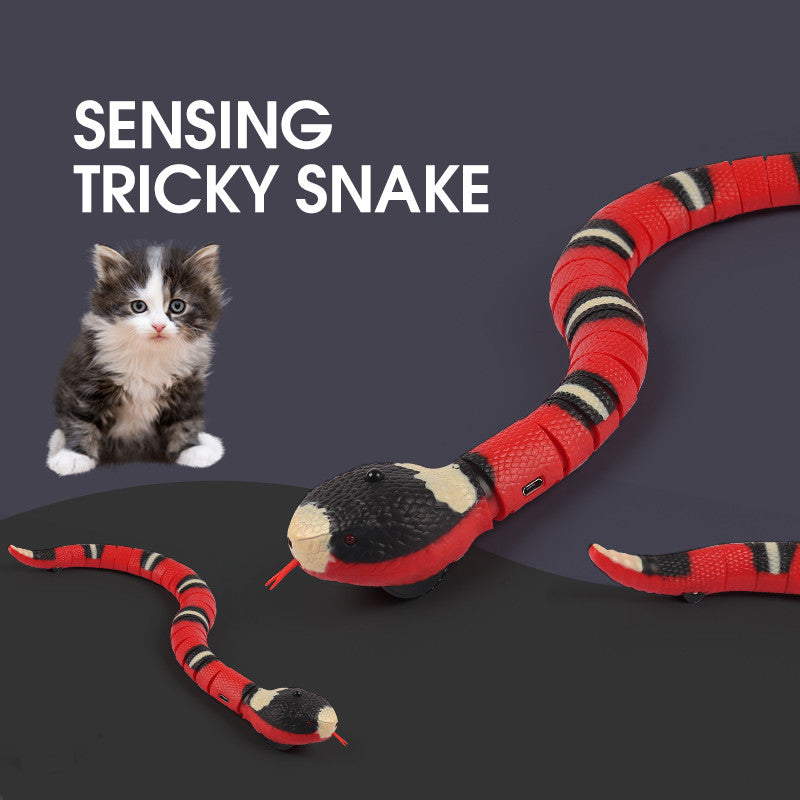 Divine Pet Play: Interactive Smart Snake Toy for Cats & Dogs – USB Rechargeable, Built-in Catnip, Lifelike Motion & Sound – Perfect for Pet Enrichment & Fun (Black)