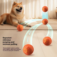 Electric Dog Jumping Ball – Automatic Luminous Bouncing Toy for Active Pups