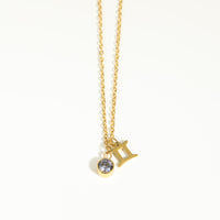Divine Zodiac Necklace - 12 Zodiac Signs Stainless Steel & Gold Plated Jewelry