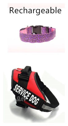LED Dog Collar Safety Adjustable Nylon Leopard Pet Collar What Else You Got?