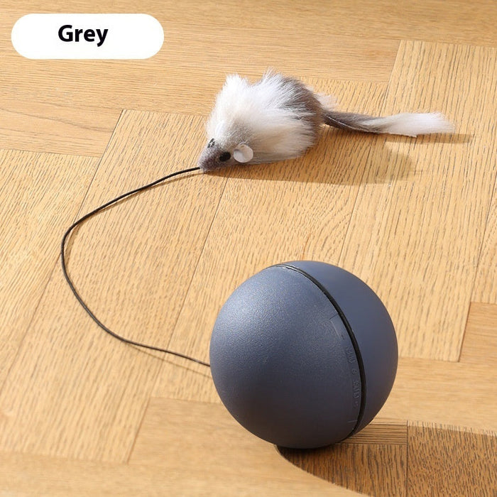 Automatic Cat Teasing Ball – Self-Rolling Interactive Toy for Cats & Dogs