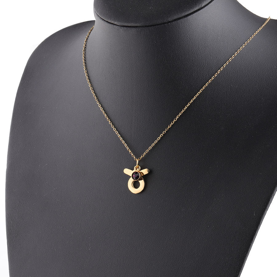 Golden Zodiac Necklace Lucky Birthstone Stainless Steel Jewelry What Else You Got?