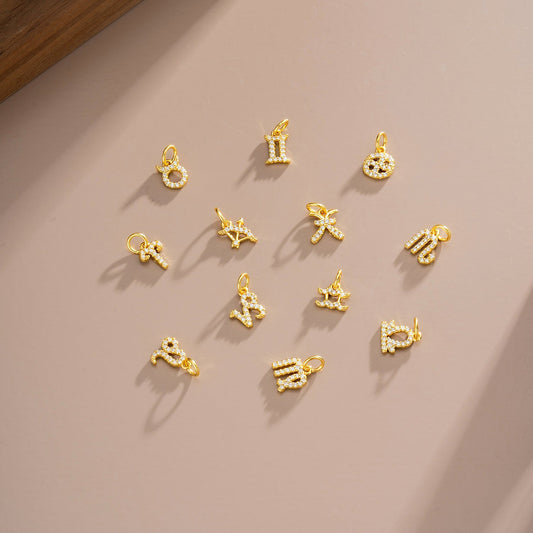 S925 Silver 12 Zodiac Sign Pendant What Else You Got?