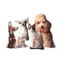 Custom Irregular-Shaped Plush Throw Pillows - Unique Home Decor Gifts