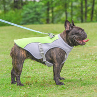 God's Cool Gift: UV-Protective Dog Cooling Vest for Summer Walks - Keeps Pets Safe & Comfortable