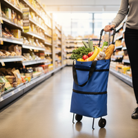 Foldable Grocery Cart with Wheels – Waterproof Reusable Shopping Bag on Wheels