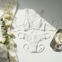 Summer Lace Backless Lingerie Set – Elegant & Sexy Polyester Intimate Wear for Women